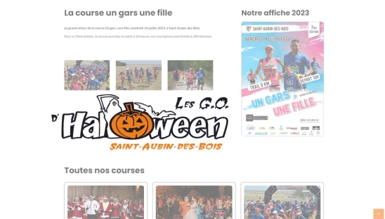 Création du site internet des G.O. d'Halloween (28)