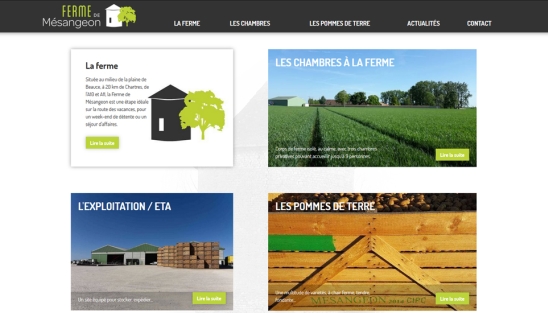 Création du site internet