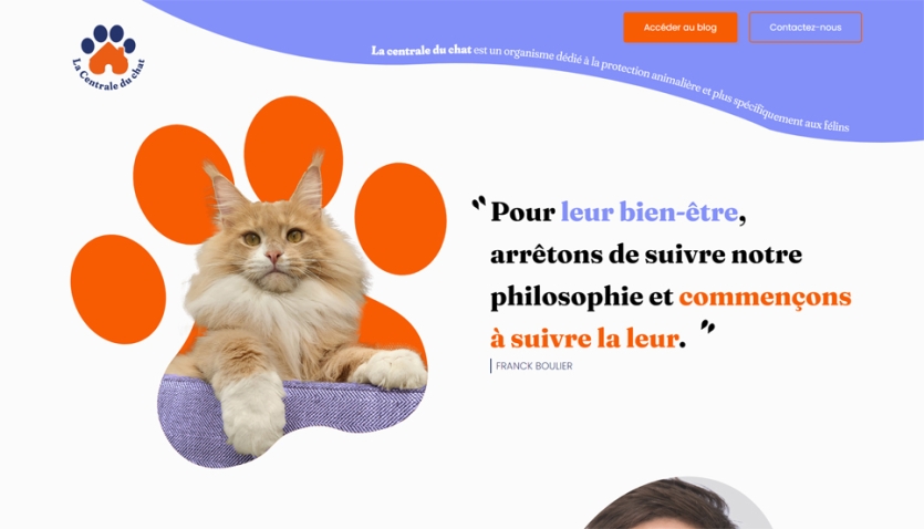 Création du site internet de la Centrale du Chat